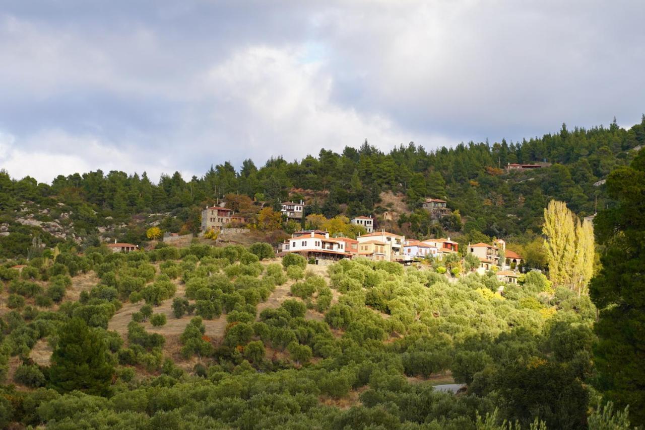 Alterra Vita Eco Villas Neos Marmaras Exteriör bild